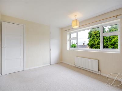 Picture 20